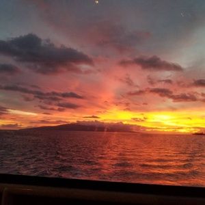 Meet your Posher, Jenn